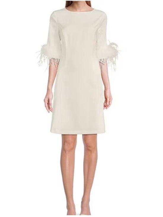 Preston & York Dresses & Skirts - Preston & York Cream Ivory Elegant Feather-Sleeve Shift Dress NWTs size 10
